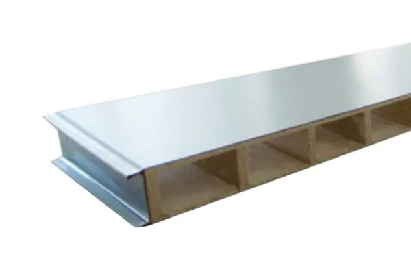 Cleanroom panel 2